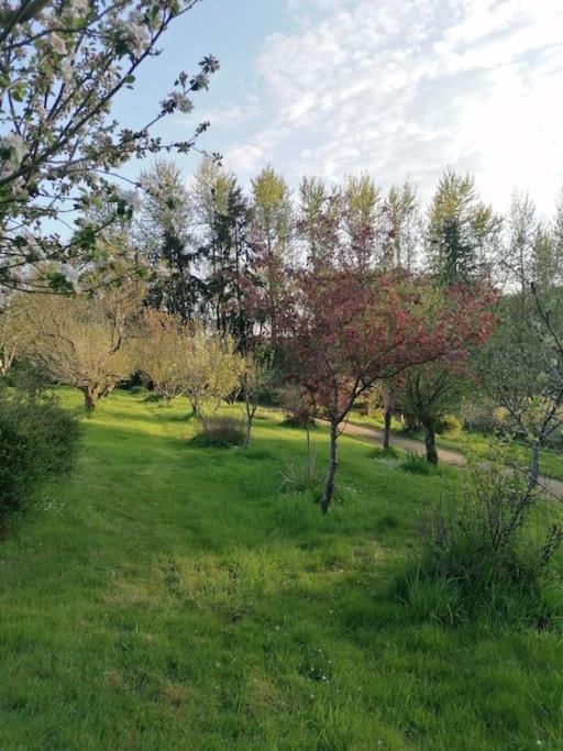 Chalet En Pleine Nature Au Bord D'Un Etang Lanvallay Eksteriør bilde