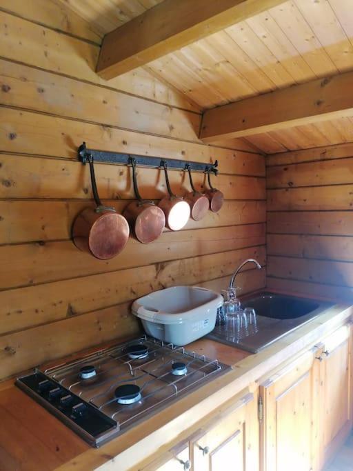 Chalet En Pleine Nature Au Bord D'Un Etang Lanvallay Eksteriør bilde